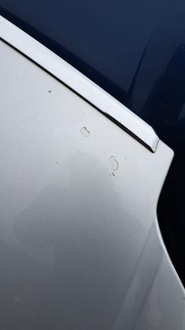 фото thumb №5, Капот крышка двигателя citroen c5 ii lift ezrc