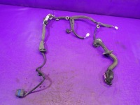 фото thumb №1, Scenic iii 3 джгут двері лівий задня 241275076r