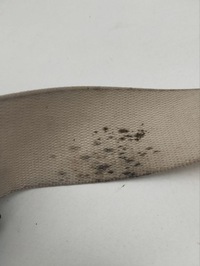 фото thumb №6, Maserati ghibli 2015 pas безпеки сидіння заднього 6700174390