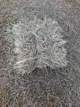 Siano, karma, ściółka 1kg