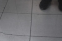 Renault megane 3 08r- капот крышка двигателя nv676 Цена, фото thumb