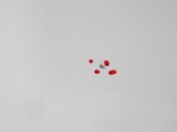 фото thumb №6, Qashqai j10+ 2 lift дверь правое задняя 326-g 2013r