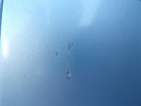 фото thumb №7, Дверь левый перед jaguar xf s lift lak: jkf комплект