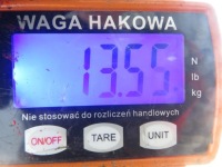 Рессора задний opel movano a 1999 - с Разборки, фото thumb