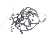 фото thumb №1, 2009 skoda octavia mk2 1z джгут двигуна 07z971782