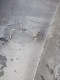 фото thumb №10, Toyota auris i 09-12 lift бампер задня задній kompletny pdc датчики