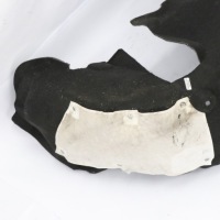 фото thumb №12, Mercedes r172 правий задня підкрилок a1726900500