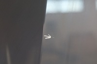 фото thumb №11, Bmw u06 капот бампер крыло лампа led c3n