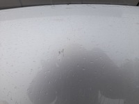 фото thumb №8, Peugeot 307 lift капот кришка двигуна ezrc