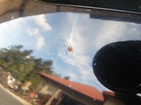 фото thumb №11, Капот крышка двигателя audi a3 8p lift cabrio ly9b