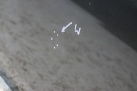 фото thumb №11, Дверь правый перед mazda 6 ii gh