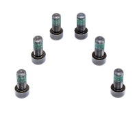 фото thumb №13, Luk 411 0160 10 набір гвинт, колесо маховик