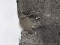 фото thumb №6, Citroen c5 ii sw 07-10 підкрилок правий перед комплект