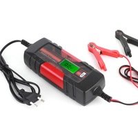 фото thumb №1, Inteligentna зарядний пристрій акумуляторів консервація