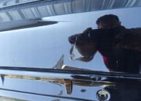 фото thumb №3, Бампер volvo xc90 ii r design задняя задний