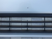 фото thumb №9, Бампер, решітка opel insignia b lift