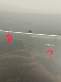 Капот кришка двигуна bmw x3 f25 2.0 d kol a52 2012 Зі Шроту, фото thumb