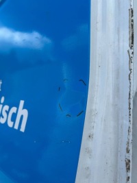 фото thumb №10, Ford transit mk8 13- высокий maxi двери левые зад