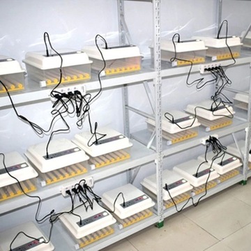 INKUBATOR 12 JAJ AUTOMATYCZNY WYLĘGARNIA NASIADKA