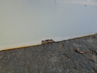 фото thumb №11, Двері праве задня berlingo partner iii 2008- ewpa