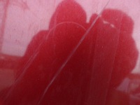 фото thumb №8, Капот кришка двигуна seat ibiza 3 iii 6l колір ls3x