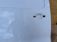 фото thumb №6, Toyota proace дверь задние задняя правое