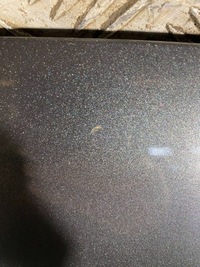 фото thumb №12, Audi q8 2019 крышка передняя / капот двигателя