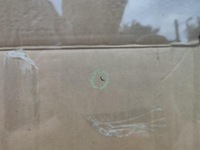 фото thumb №4, Стекло лобовое honda jazz iii оригинал