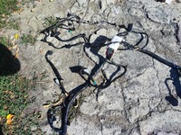 фото thumb №9, Ford s-max mk1 2.0 tdci джгут салону підлога eu