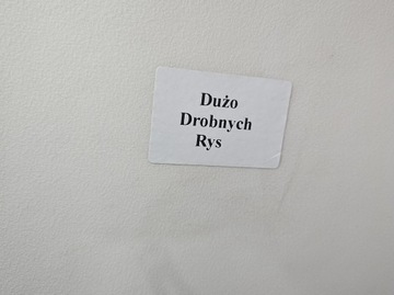 фото thumb №14, Двері перед праві tesla модель 3 17-23 білий ppsw