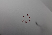 Капот крышка двигателя s-max mk1 kol. 58 06-10 Киев, фото thumb