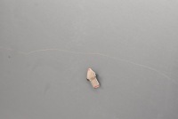 фото thumb №10, Дверь левая перед передние серебристый nissan x-trail 2 ii t31 07-13