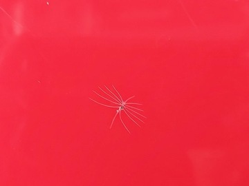 фото thumb №12, Капот кришка кришка двигуна решітка радіатора решітка перед skoda fabia 1 i 6y2, 6y5