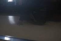 фото thumb №10, Audi a6 c6 двері правий перед передні lz7q