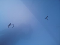 Капот крышка двигателя bmw 3 e90 e91 354 titansilber 05-08 дорестайлинг Цена, фото thumb