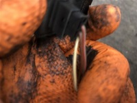 Перемикач правий передній задній перед задній bmw 3 e91 e90 6945874 в Україні, фото thumb