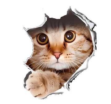 ТЕРМОНАКЛЕЙКА НАНЕСЕНИЕ УТЮГОМ H 23-CAT