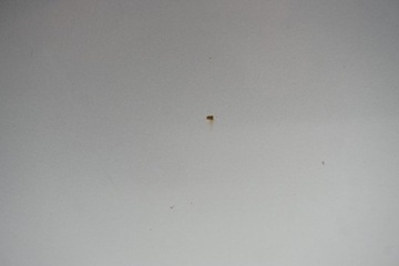 фото thumb №11, Toyota avensis t27 універсал двері лівий зад задні 1f7