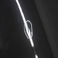 фото thumb №3, Mini countryman r60 двері правий задня cosmic blue