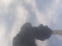 фото thumb №8, Дверь левая задняя citroen c5 iii kombi eypc 2008-2017 кузов голый