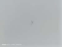 фото thumb №12, Mercedes w212 дверь левая задняя kombi kol 650