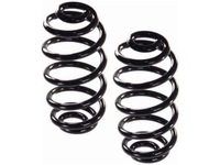 фото thumb №1, Пружини задня magnum sa079mt