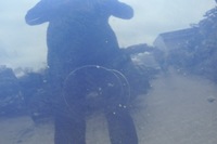 фото thumb №9, Opel corsa c iii капот крышка отсек двигателя