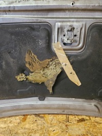 Капот крышка двигателя ford c max d1 с Разборки, фото thumb