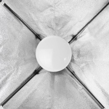Набор из 2 ламп SOFTBOX 50х70 170Вт LED