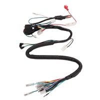 фото thumb №16, Джгут трубопровід електричних запуску abs tpu