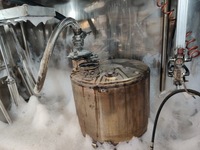 фото thumb №1, Фильтр regeneracja/czyszczenie dpf ford каждый model