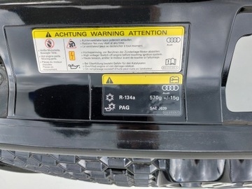 фото thumb №13, Решітка радіатор решітка радіатора audi rs3 рестайлінг 8v4 eu