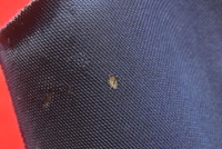 фото thumb №12, Стеля czarna стійки s-line 8r0867501t audi q5 8r lift 12-17