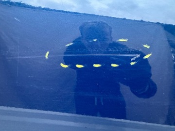 фото thumb №7, Peugeot 301 citroen c-elysee 13r- двері праві передні праві перед